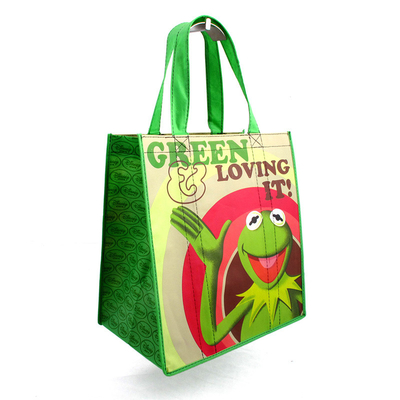 Geri Dönüşümlü Şişe 30x40x15cm 110gsm Dokuma RPET Torba