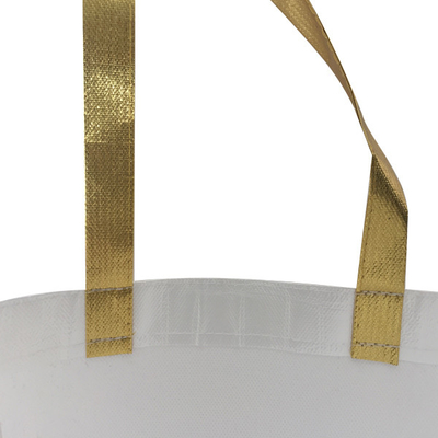 OEM 50cm Lamine 38x12x30cm Eko Dokumasız Çanta