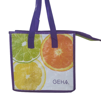 Su geçirmez 100 adet OEM 23x26x16cm İzoleli Tote Öğle Yemeği Çantası